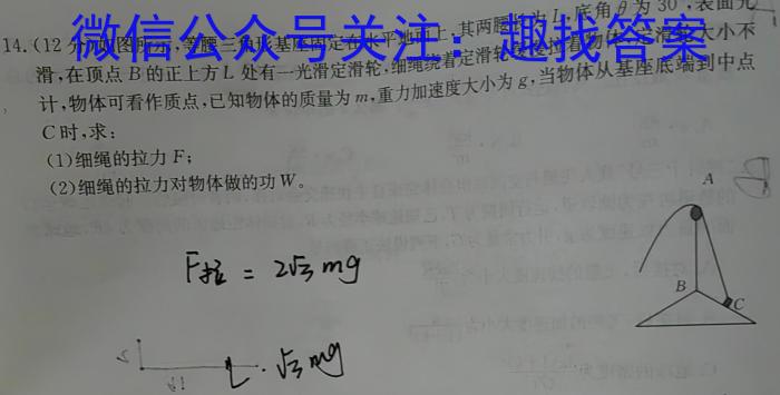 金华十校2023年11月高三模拟考试q物理