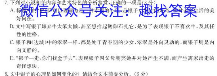江西省2023一2024学年九年级高效课堂练习（二）/语文