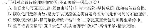 甘肃省2023-2024学年度第一学期九年级期中教学质量评估测试语文试卷 答案