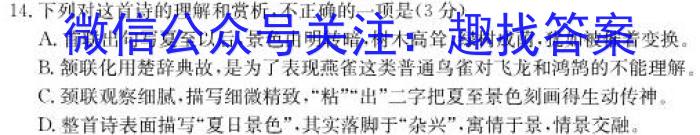 安徽省2024届九年级G5联动教研第一次阶段性调研/语文