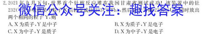 山西省2023~2024上学年九年级期中阶段评估卷(24-CZ31c)q物理