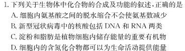 湖南省三湘名校教育联盟2024届高三第一次大联考生物学试题答案