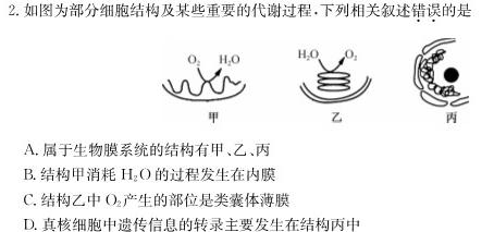 河南省2023-2024学年度七年级第一学期阶段性测试卷(二)生物学试题答案