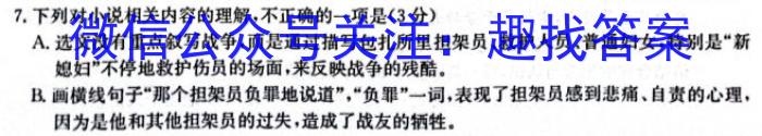 河南省三门峡市2023-2024学年度高三阶段性考试/语文