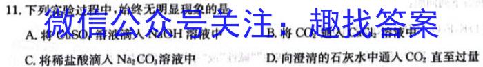 32024年衡水金卷先享题分科综合卷(一)化学