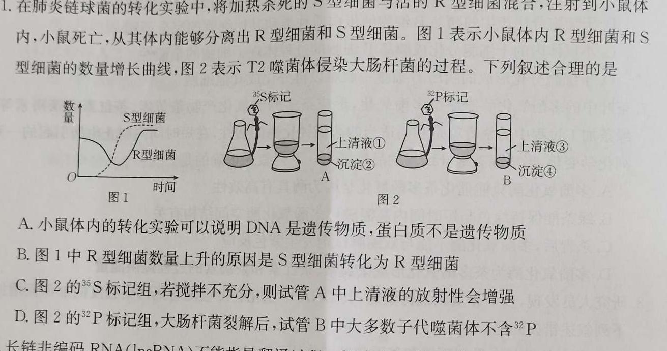 2023-2024衡水金卷先享题月考卷高三 四调生物学试题答案