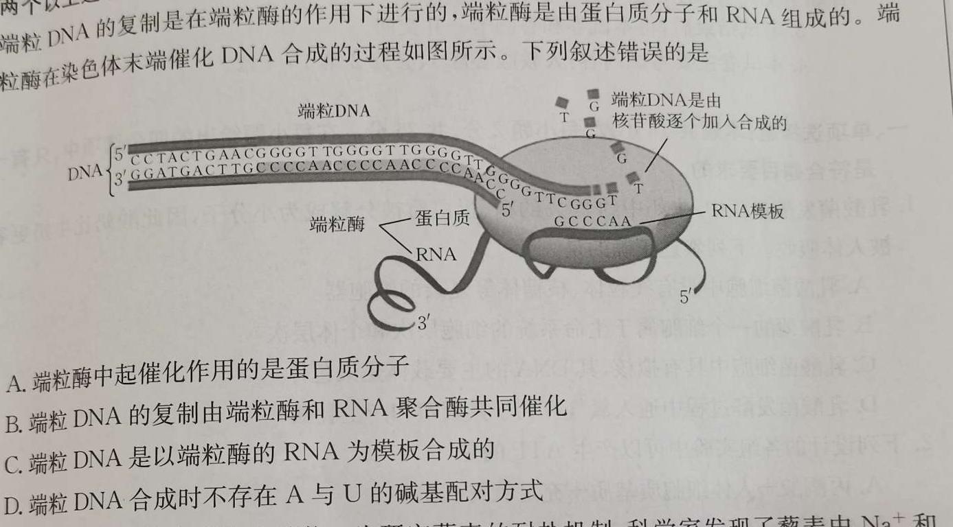 牡丹江二中2023-2024学年第一学期高一第一次月考(9025A)生物学试题答案