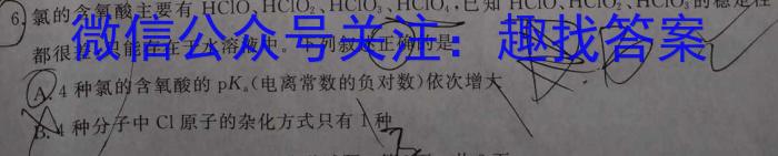 j江西省2024届九年级第二次阶段适应性评估【R-PGZX A-JX】化学