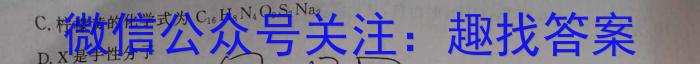 32024届浙江省新阵地教育联盟高三上学期第二次联考化学