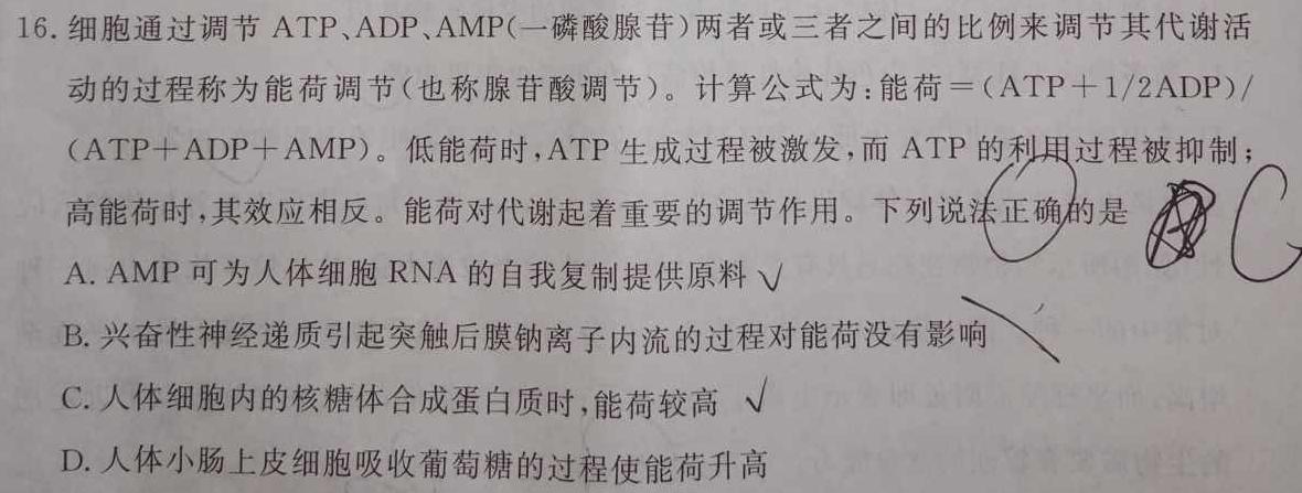 卓越联盟·山西省2024届高三10月第三次月考生物学试题答案