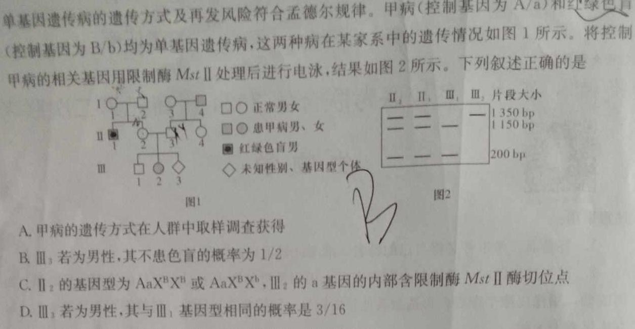 山西省2023-2024学年度七年级第一学期阶段性学习效果评估（一）生物