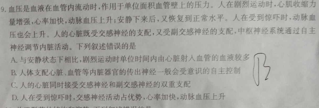 2023-2024学年山西省高二10月联合考试生物学试题答案