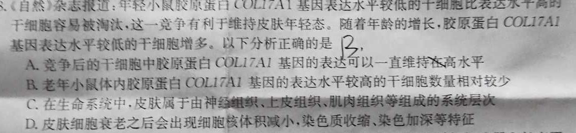 2023-2024学年内蒙古高二考试10月联考(☆)生物