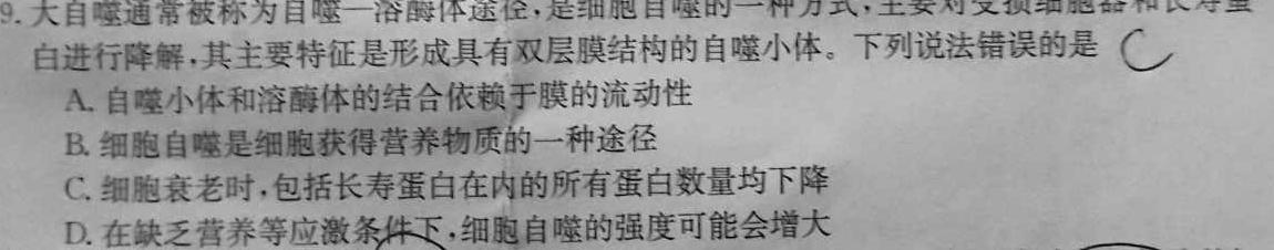 ［湖南大联考］湖南省2024届高三年级上学期10月联考生物