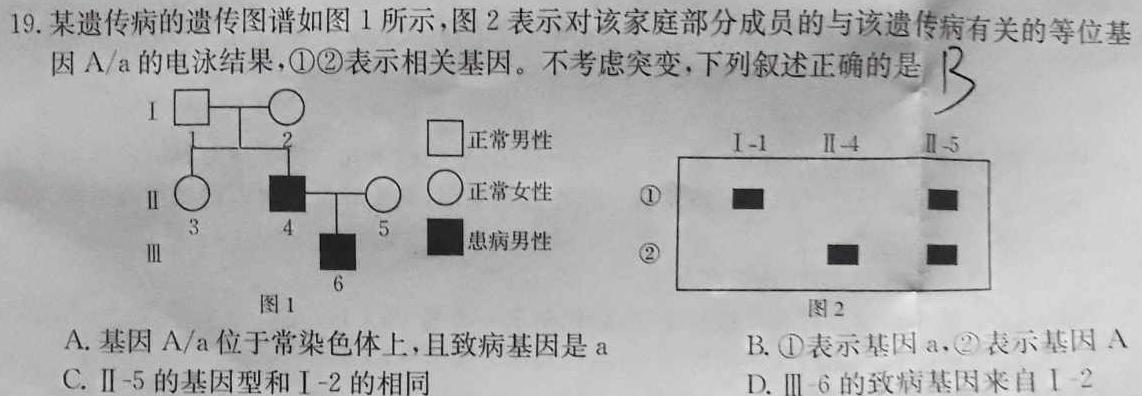 河北省沧州市2023-2024学年九年级第一学期教学质量检测一（10.10）生物