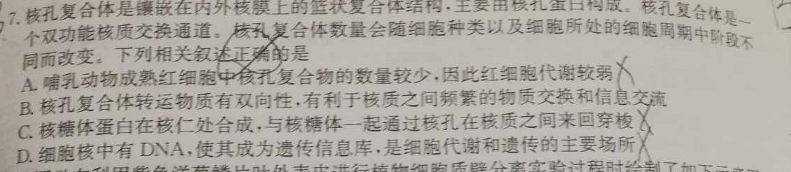 安徽省合肥市2024届九年级第一学期10月份阶段练习生物试卷答案