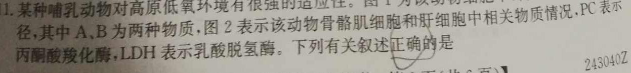 湖南省2023年下学期高二10月联考生物