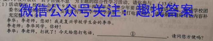 江西省2024届九年级初中目标考点测评（十三）语文