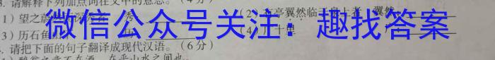 2024届全国名校高三单元检测示范卷(二十)/语文