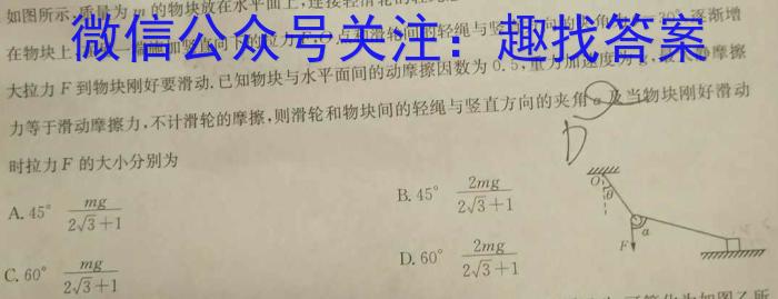 贵阳一中(贵州卷)2024届高考适应性月考卷(白黑黑白黑黑黑)物理`