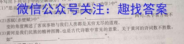 安徽省合肥市琥珀中学教育集团2024届九年级第一次质量调研检测/语文