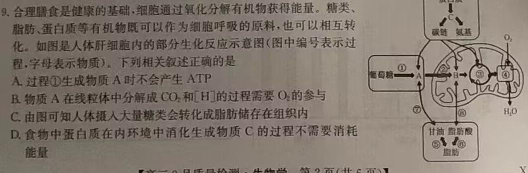 智慧上进 江西省2024届高三10月统一调研测试生物学试题答案