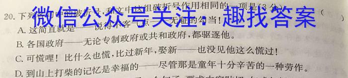 2023年11月高二A佳教育 湖湘教育三新探索协作体 期中联考语文