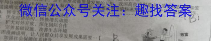 24届高三年级TOP二十名校调研考试八政治~