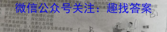 安徽省六安皋城中学2024届初三阶段性目标检测（四）政治~