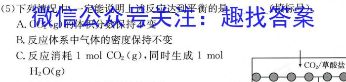q［独家授权］安徽省2023-2024学年九年级上学期期中教学质量调研【考后更新】化学