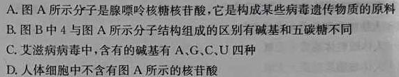 九师联盟·河北省2023-2024学年承德市重点高中高二10月联考生物