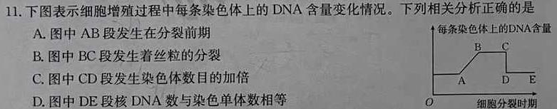 贵州省六盘水市2024届高三年级第一次阶段性监测(24-62C)生物试卷答案