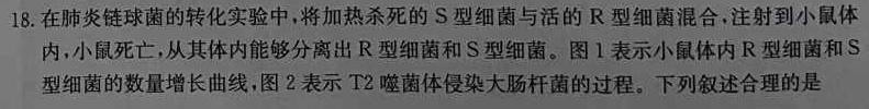 安徽省2023-2024学年度九年级上学期阶段性练习(一)1生物