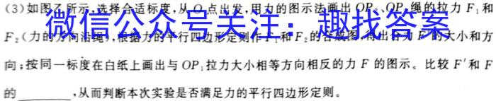 河北省2023-2024学年第一学期高一年级期中考试物理`