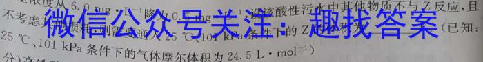 【精品】安徽省2024届灵壁第六初级中学九年级素质检测一化学