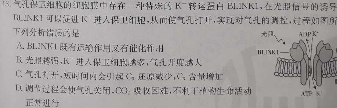 陕西省2023-2024学年度高一第一学期阶段性学习效果评估(二)生物学试题答案