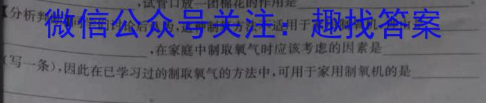 q陕西省2023-2024学年八年级期中学科素养检测（A）化学