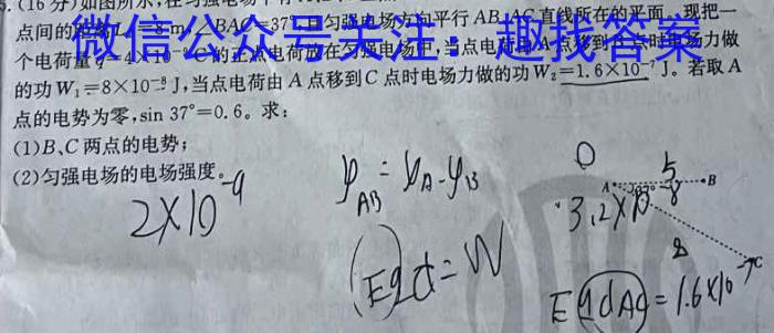 2024届炎德英才大联考雅礼中学高三月考试卷(2)物理`