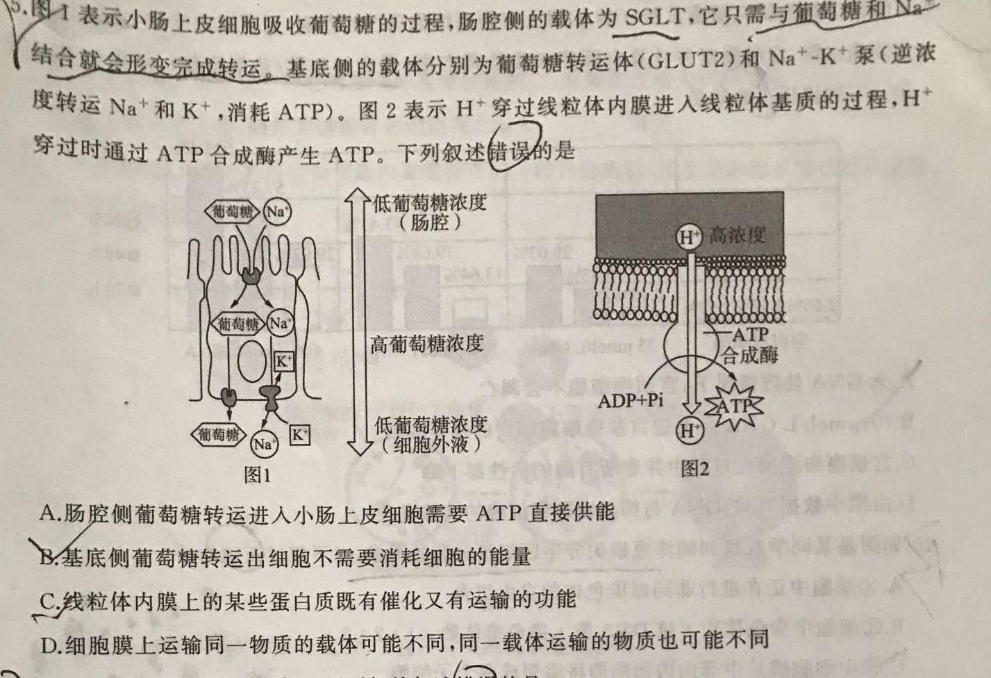 非凡吉创 2024届高三年级TOP二十名校调研考试三(243065D)生物学试题答案