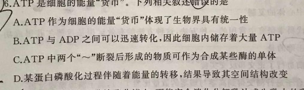 ［辽宁大联考］辽宁省2025届高二年级上学期10月联考生物学试题答案