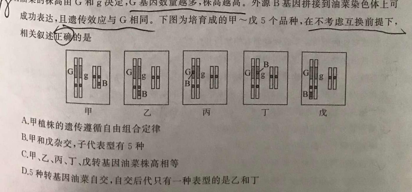 超级全能生·名校交流2024届高三第二次联考(4089C)【XX】生物学试题答案