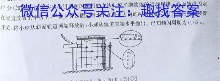 河北省2023-2024学年九年级第一学期第一阶段质量评价q物理