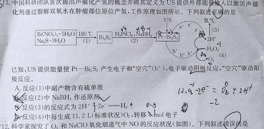 1安徽省2023-2024学年第一学期七年级期中学情调研化学试卷答案