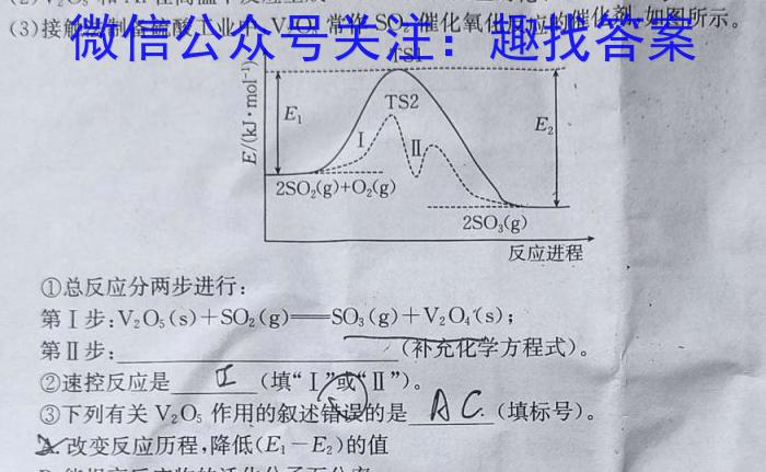 q九师联盟2024届高三10月质量检测巩固卷LG化学