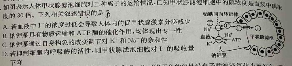 2024届全国名校高三单元检测示范卷(五)生物学试题答案