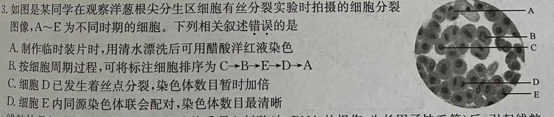 ［新疆大联考］新疆2024届高三10月联考生物