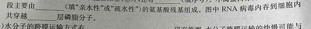 重庆市高2026届拔尖强基联合定时检测(一)生物