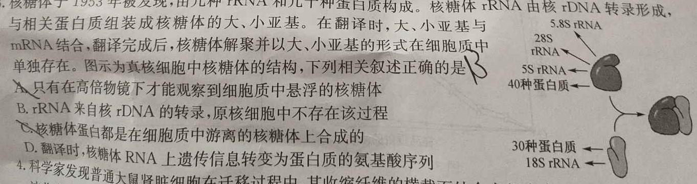 2023-2024学年江西省高一试卷10月联考(◆)生物学试题答案