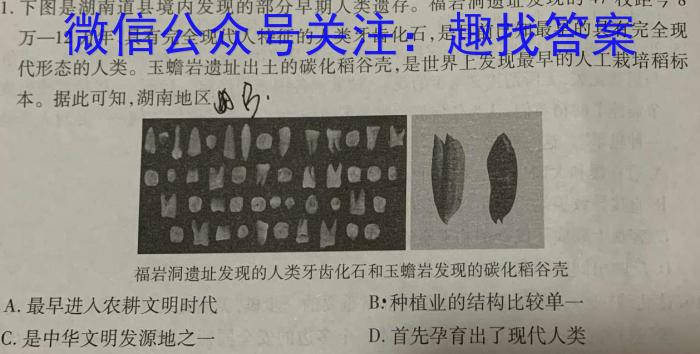 [今日更新]［惠州二模］惠州市2024届高三年级第二次模拟考试历史