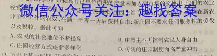 广西省2025届高二年级10月联考历史试卷